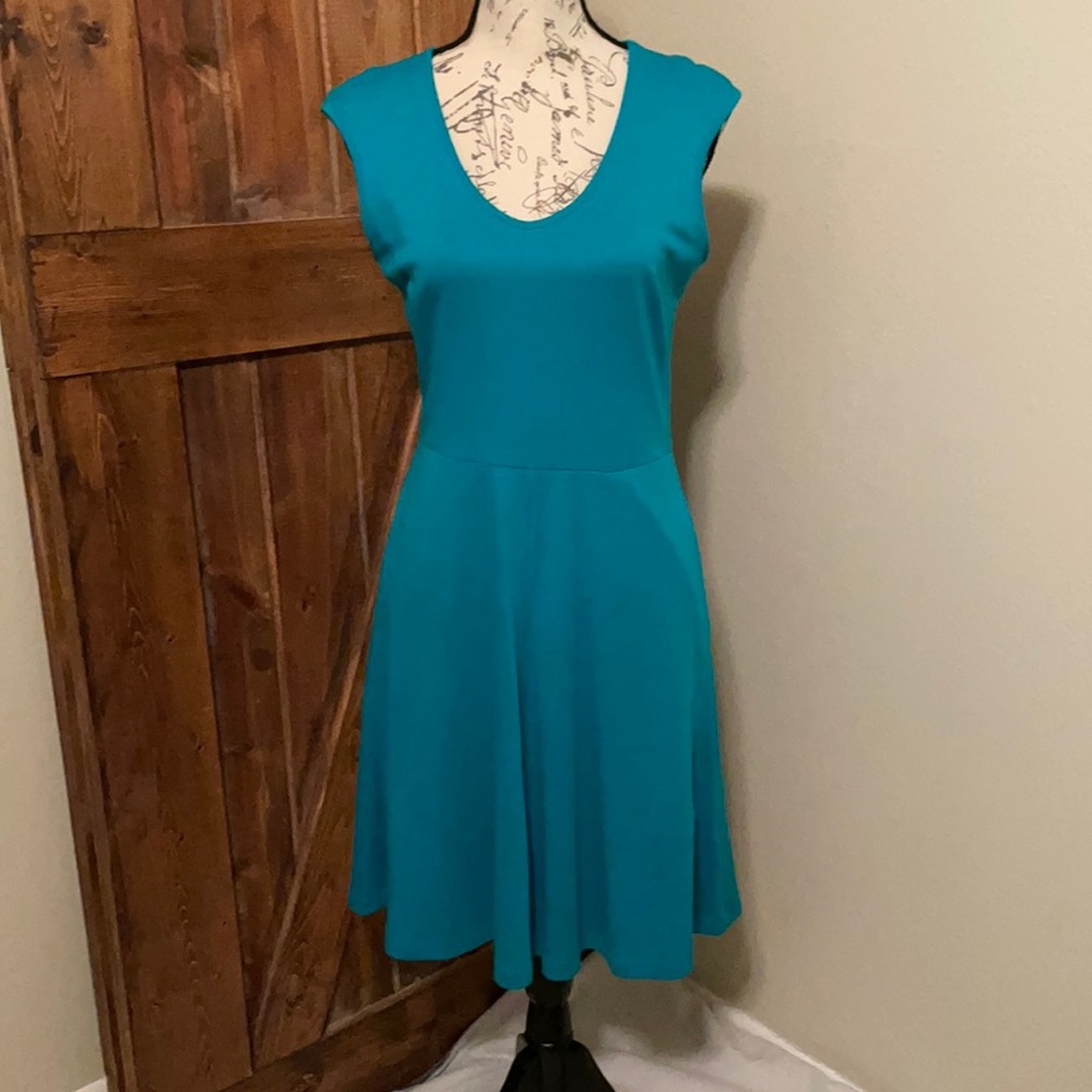 New York & Co Sleeves Dress